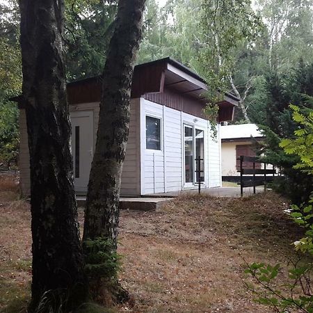Bungalowdorf Klein Budelsdorf Altenberg  Exterior foto
